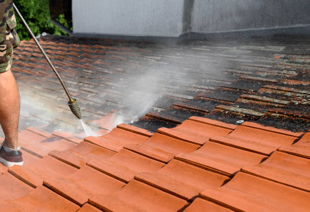 Best Residential Pressure Washing Services  in Licking, MO